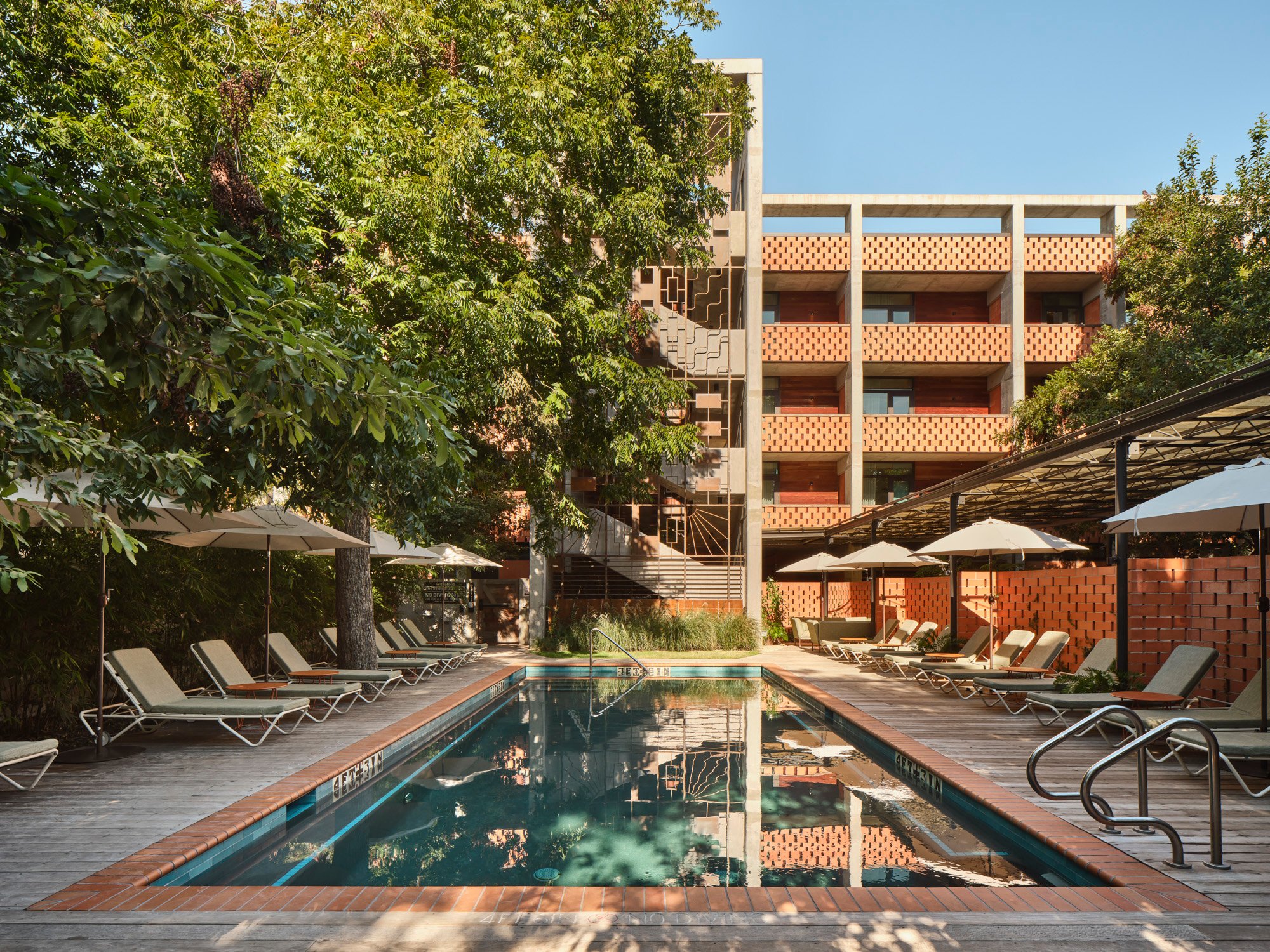 Outdoor pool shaded by trees at Austin’s Carpenter Hotel