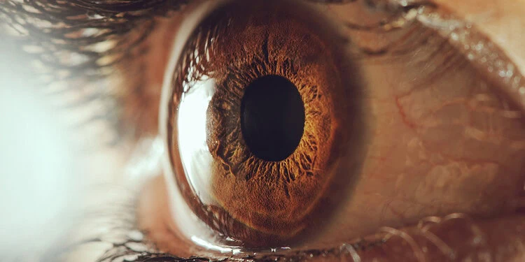 AI Detects ADHD Study