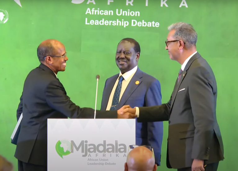 The African Union Goes to the Polls