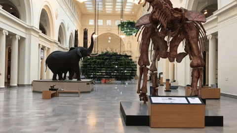 GoGet ART | Exposições em Janeiro 