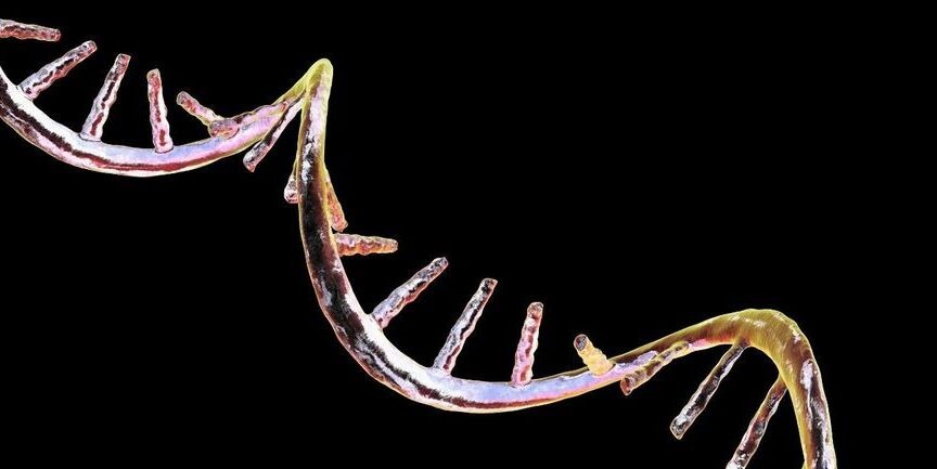 AI RNA Design: Generating Functional Molecules with Machine Learning!