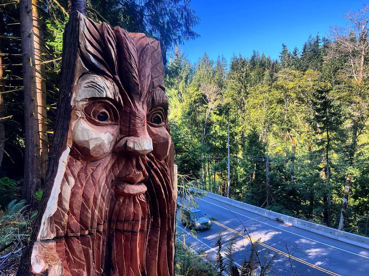 A mysterious carving pops up along Highway 14