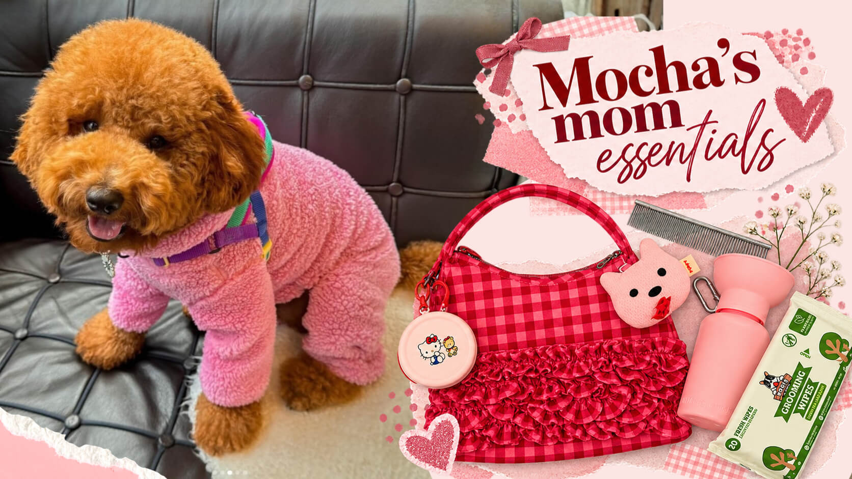 Mocha and the pink-and-red essentials her mom carries for their outings