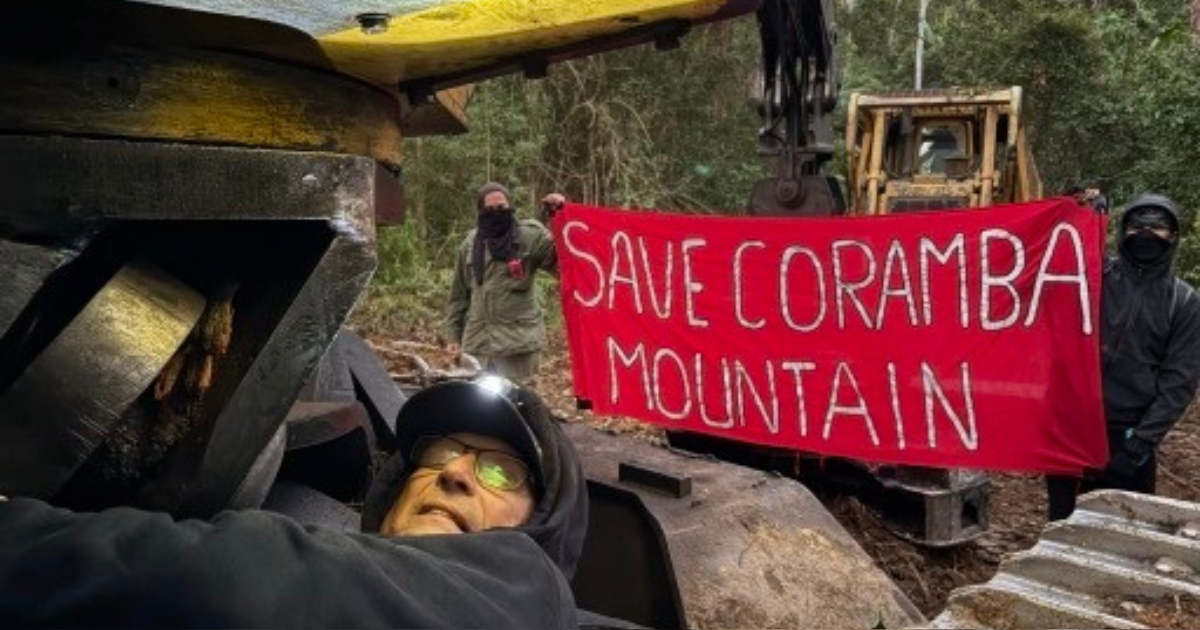 70-year-old locks himself to harvester to stop logging in proposed ...