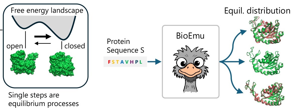 AI-Powered Protein Dynamics: Decoding Hidden Molecular Movements!
