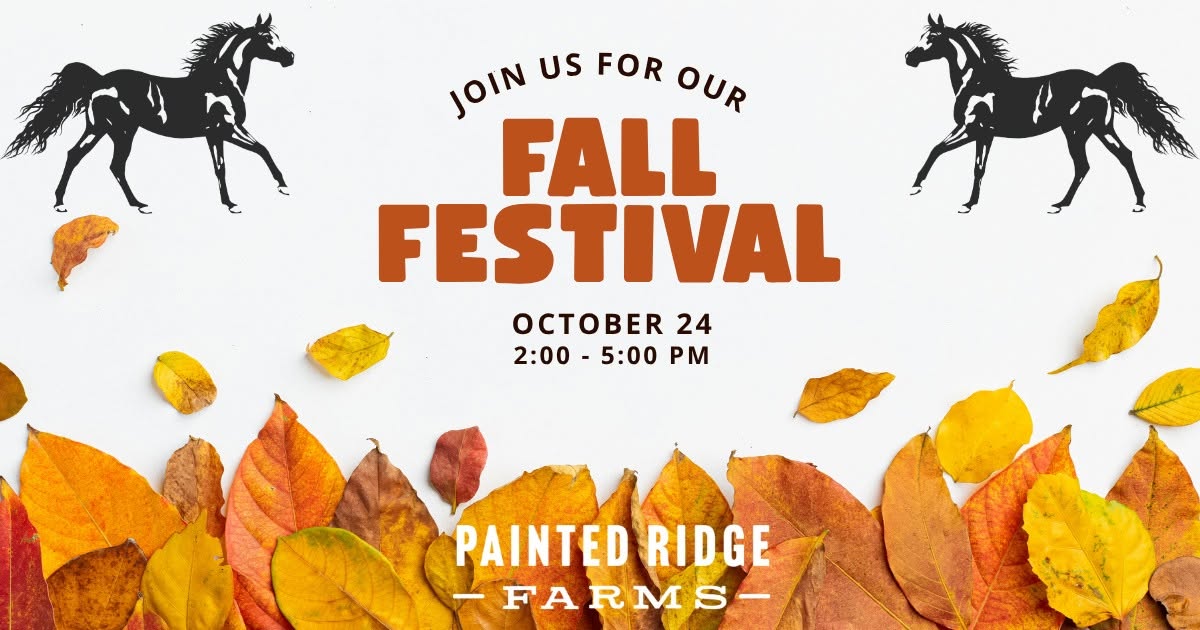 Fall Festival Painted Ridge Farms - October 24