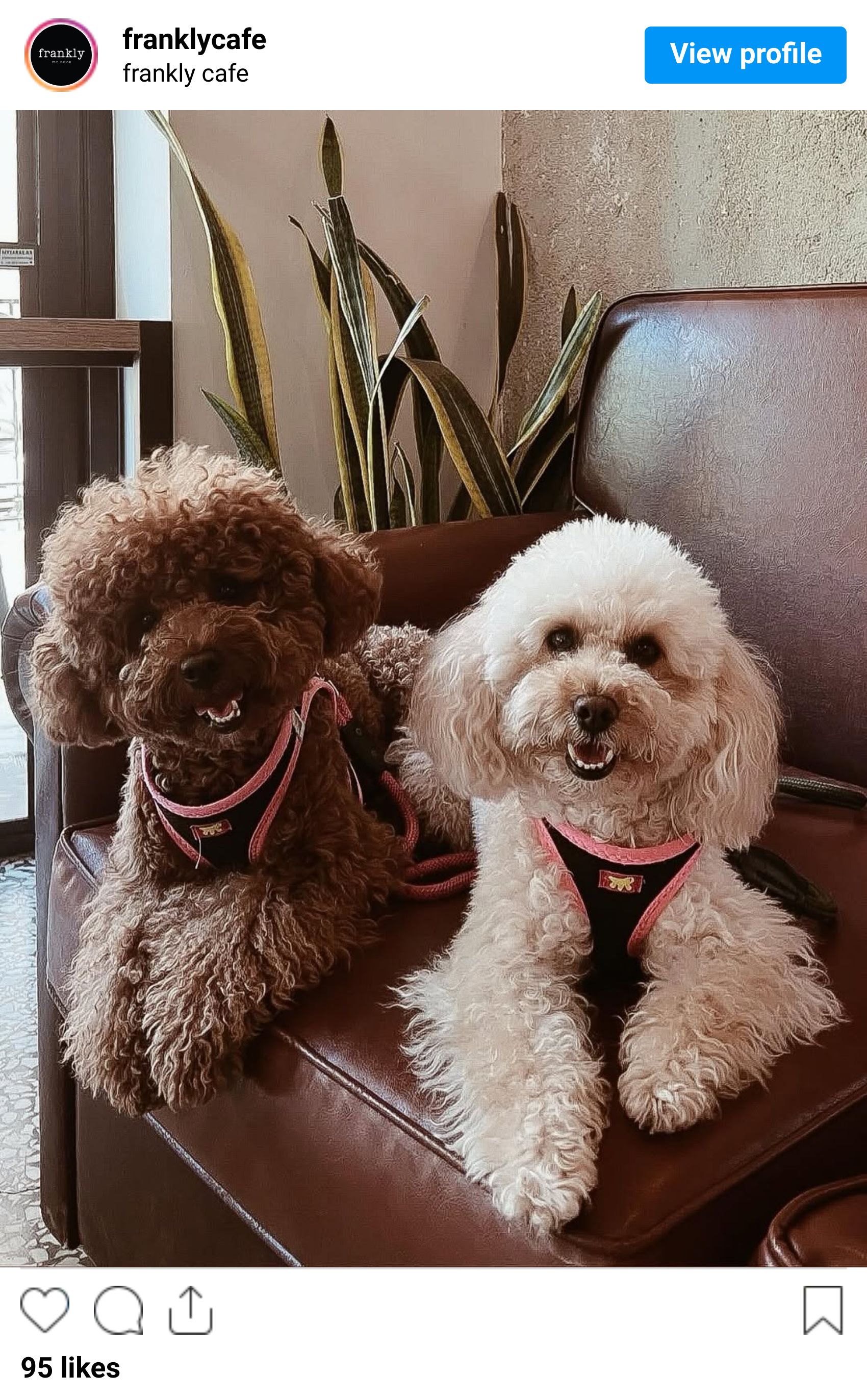 Instagram post