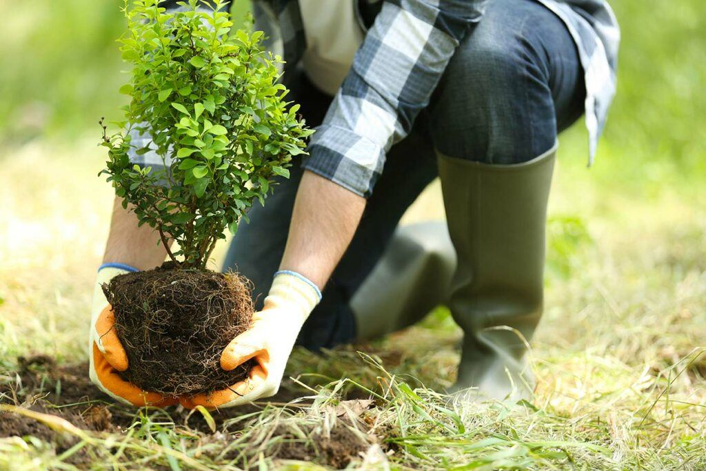 ⚓ Free Trees, Snowy Sidewalks, and Summer Camp Registration!