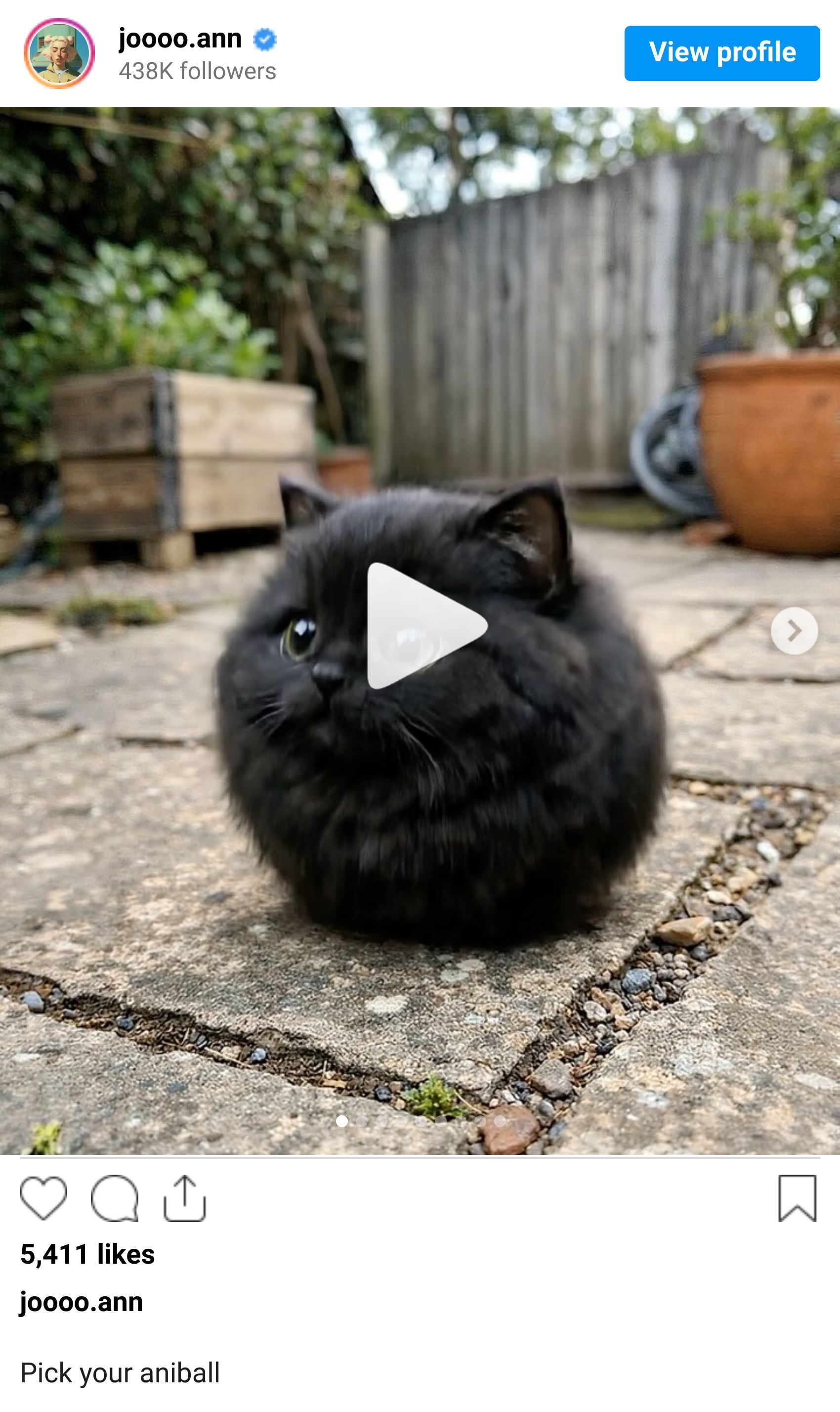 Instagram reel screenshot