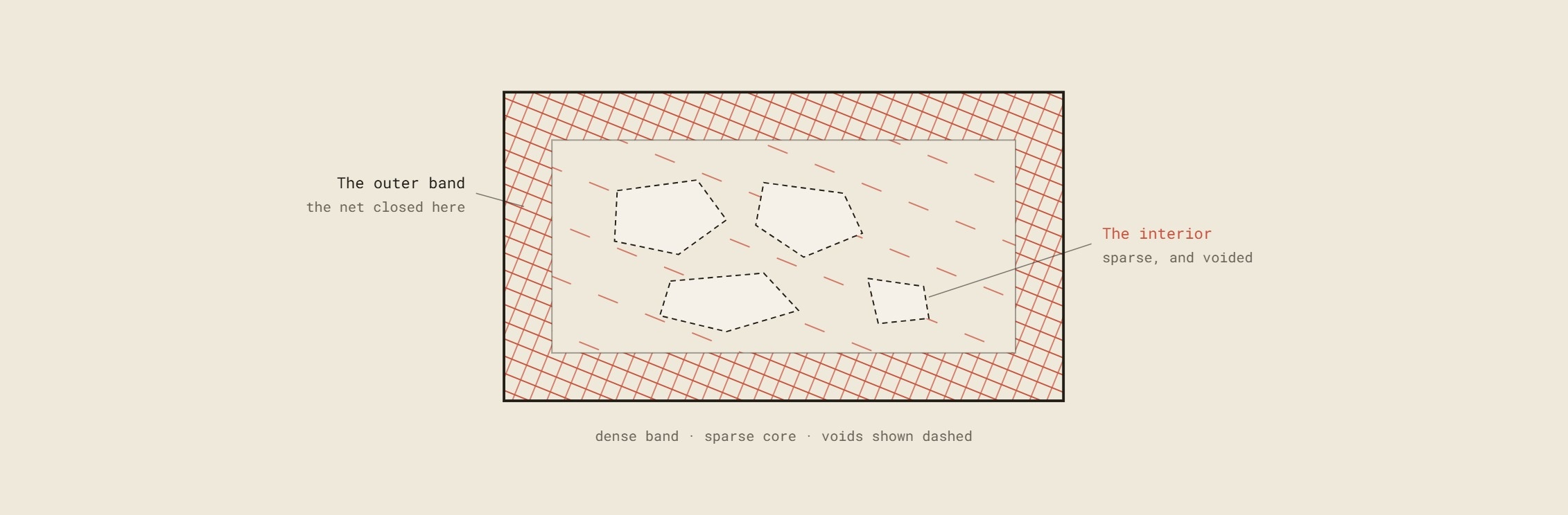 A cut section through a grown block, dense outer band and sparse core.