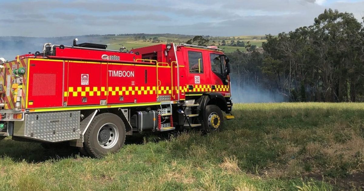 Eight firefighting crews tackle three-hectare tree fire at Timboon West