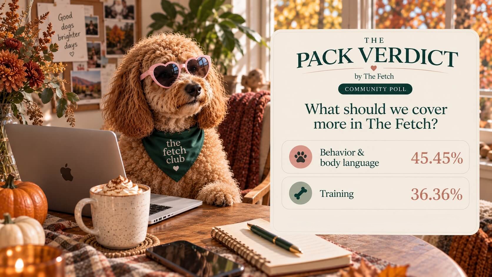 The Pack Verdict showing Behavior and body language as the top topic readers want more of, followed by Training