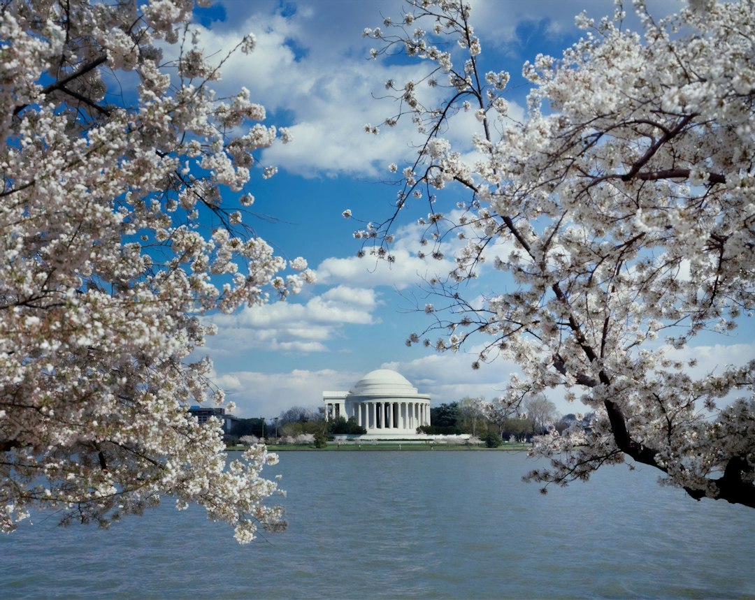 Washington DC to Madrid for $465?