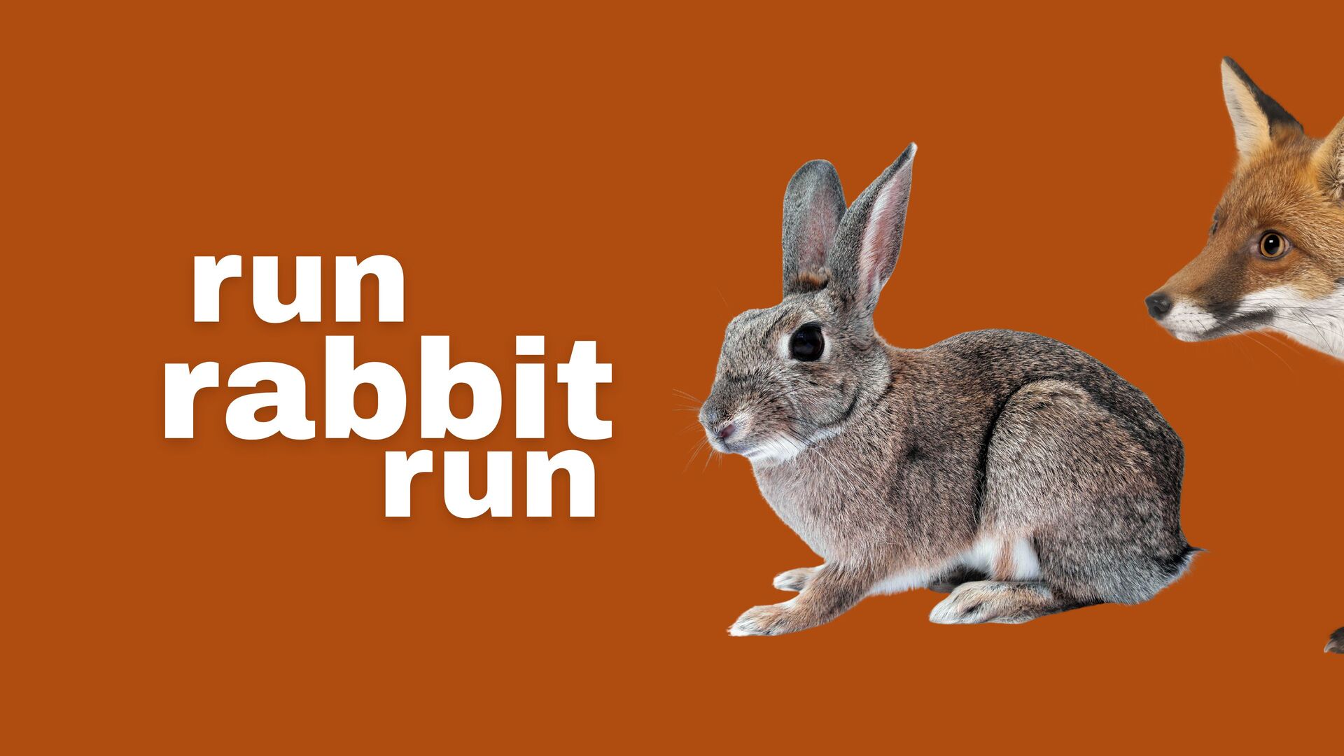 Run Rabbit Run