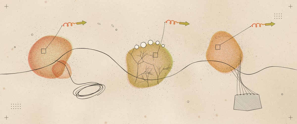 Three abstract forms, one spooling a silk thread, one beaded with water on fine threads, one anchored to a stone, each linked to a small protein shape.