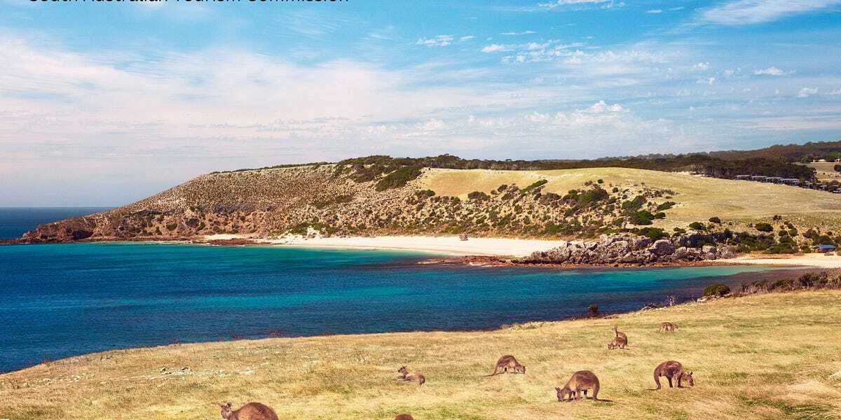 Australia's Beach Ambassador, Brad Farmer AM, announced the 2023