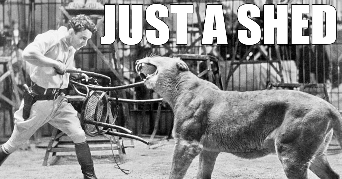 The Lion in the Warehouse
