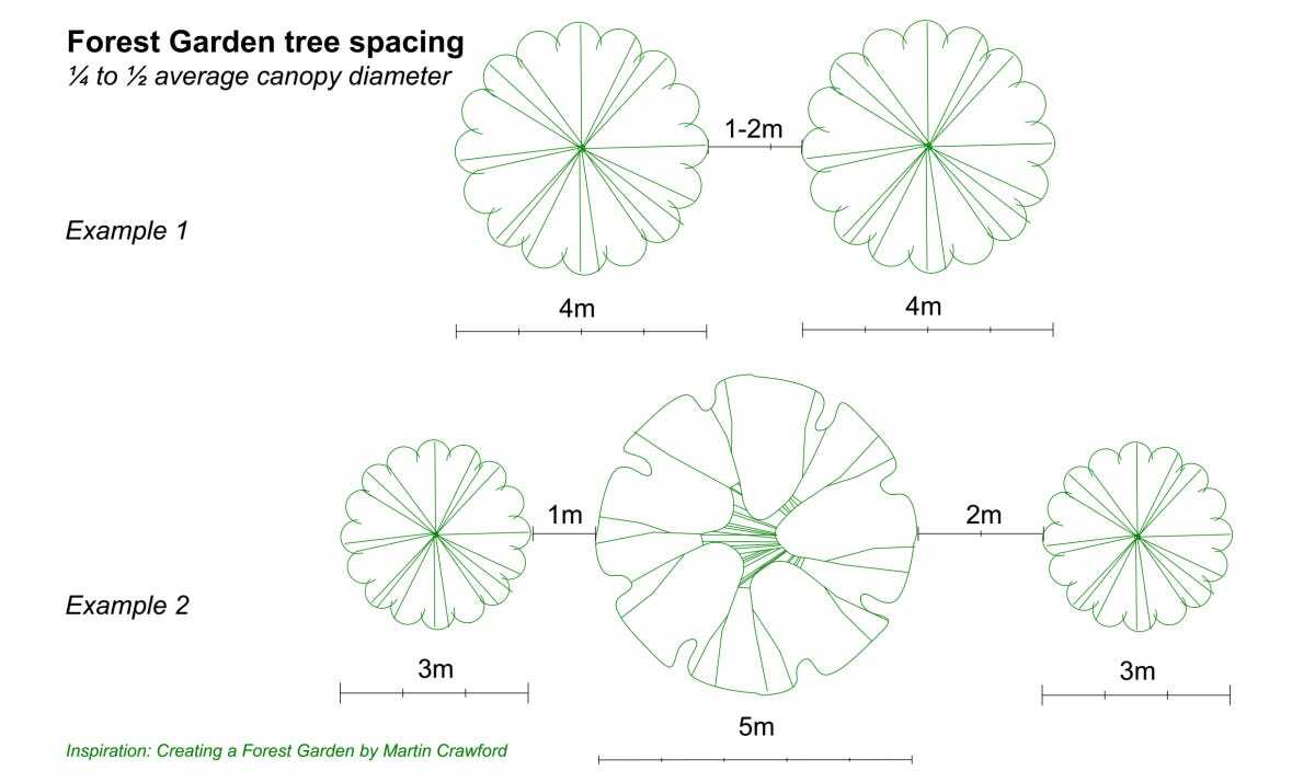 Garden Wild Edible Classes
