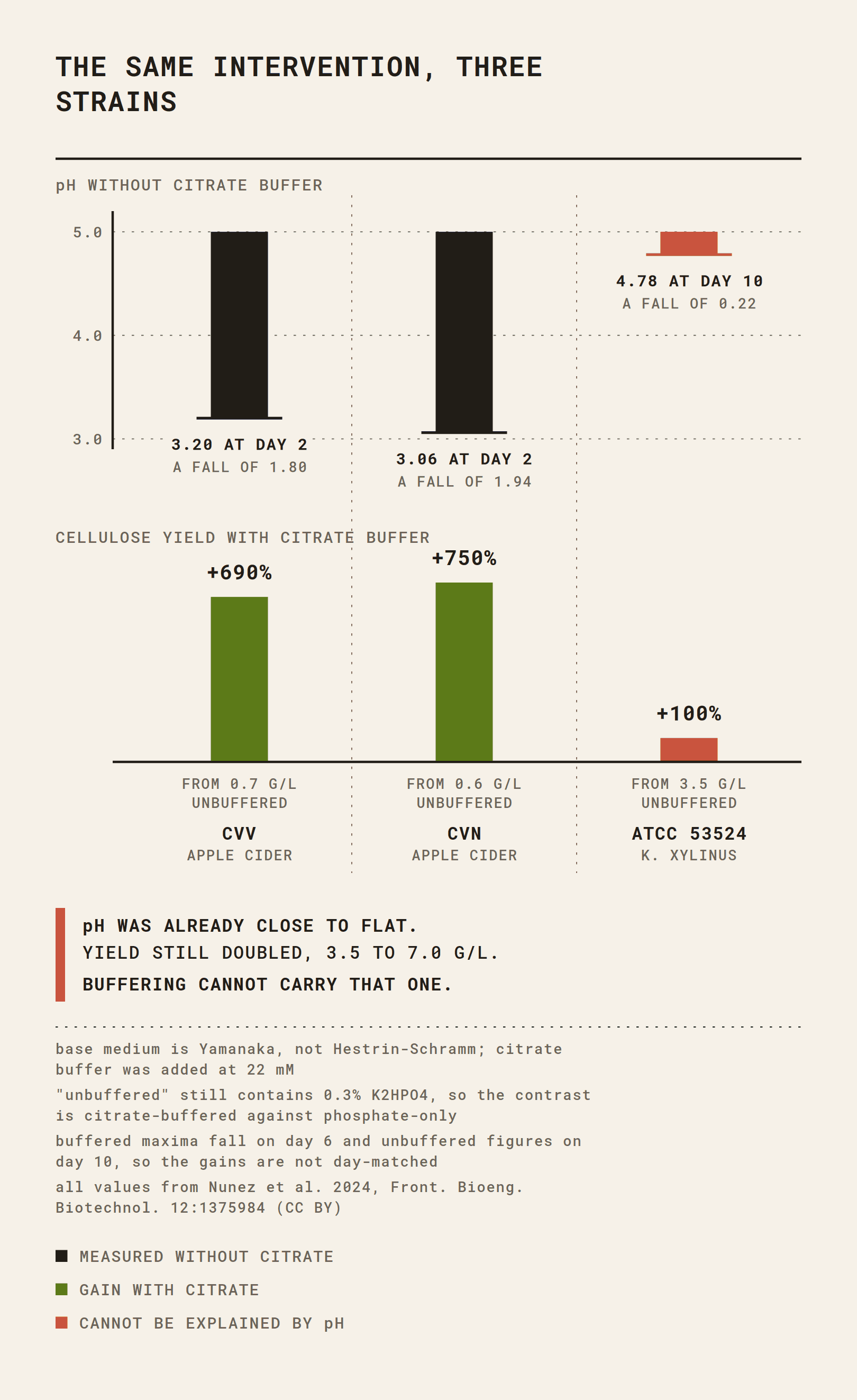 Cellulose yield and pH for three Komagataeibacter strains with and without citrate buffering, showing different responses per strain.