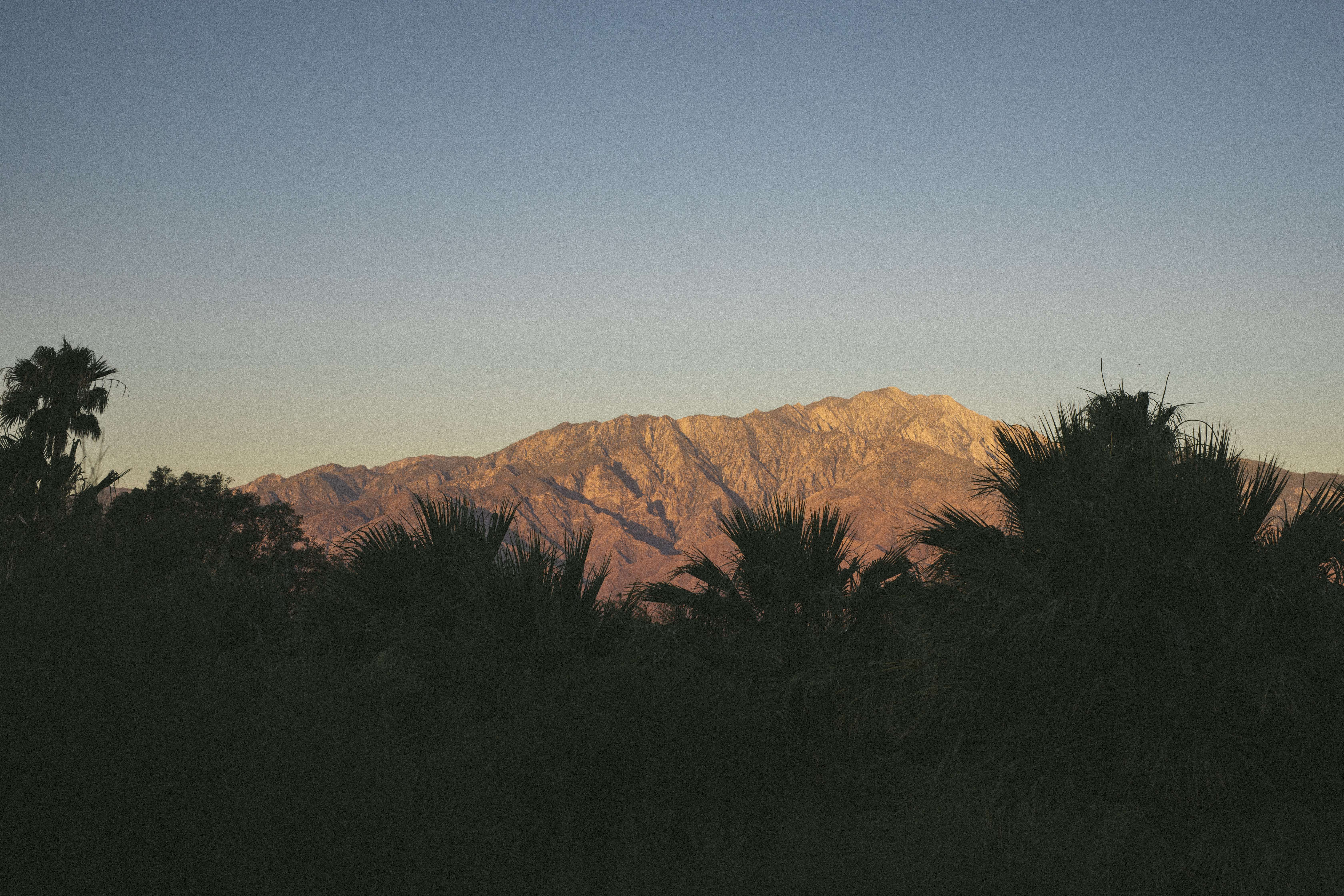 The desert landscape surrounding Two Bunch Palms