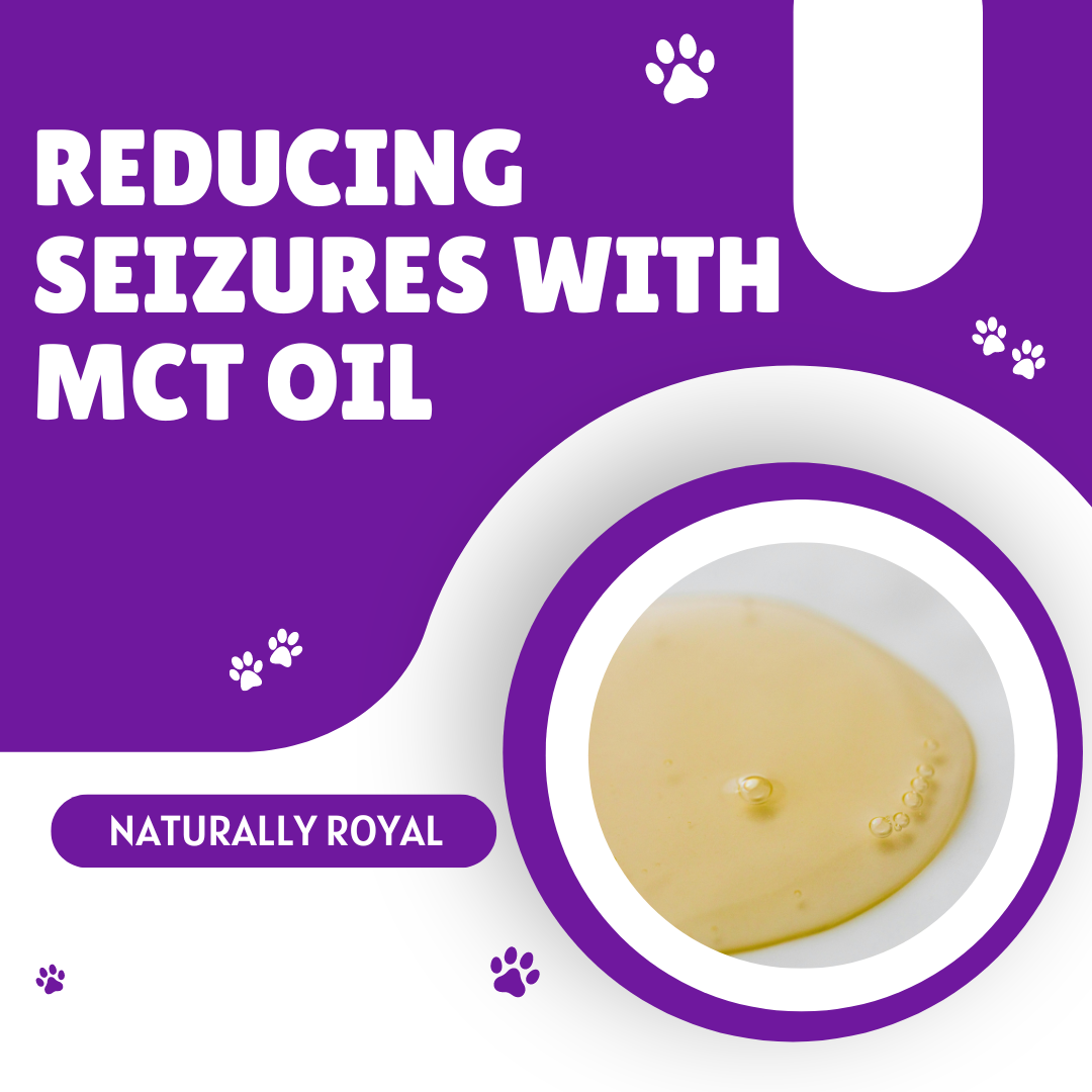 Mct Oil For Dogs With Seizures Reducing Seizures with MCT Oil