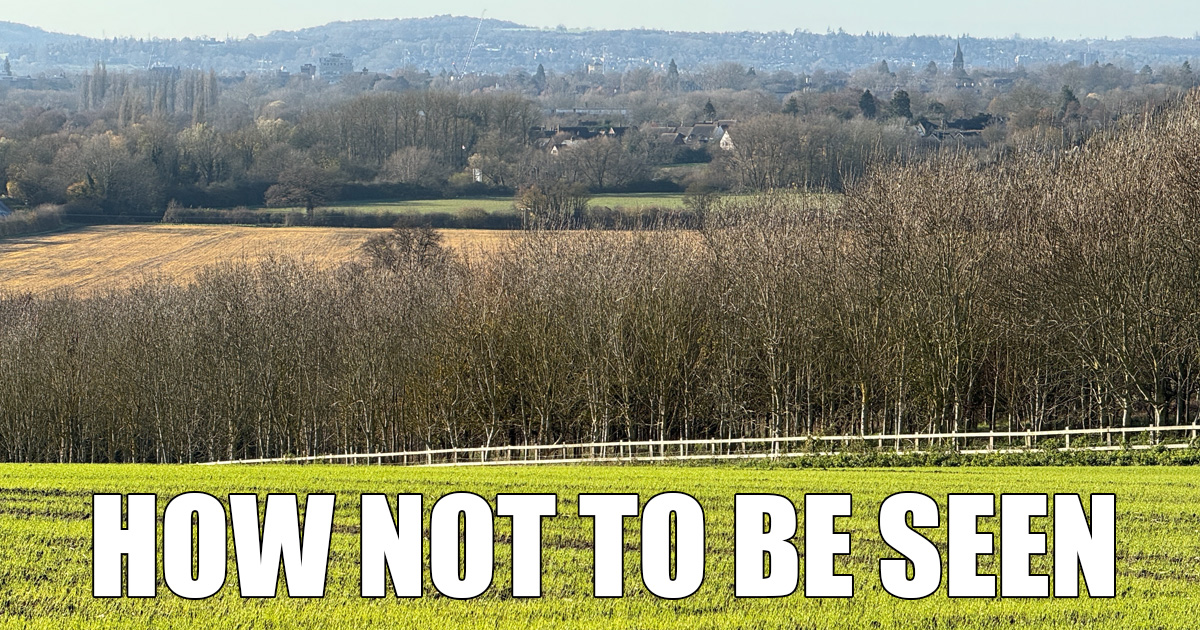 How Not to Be Seen