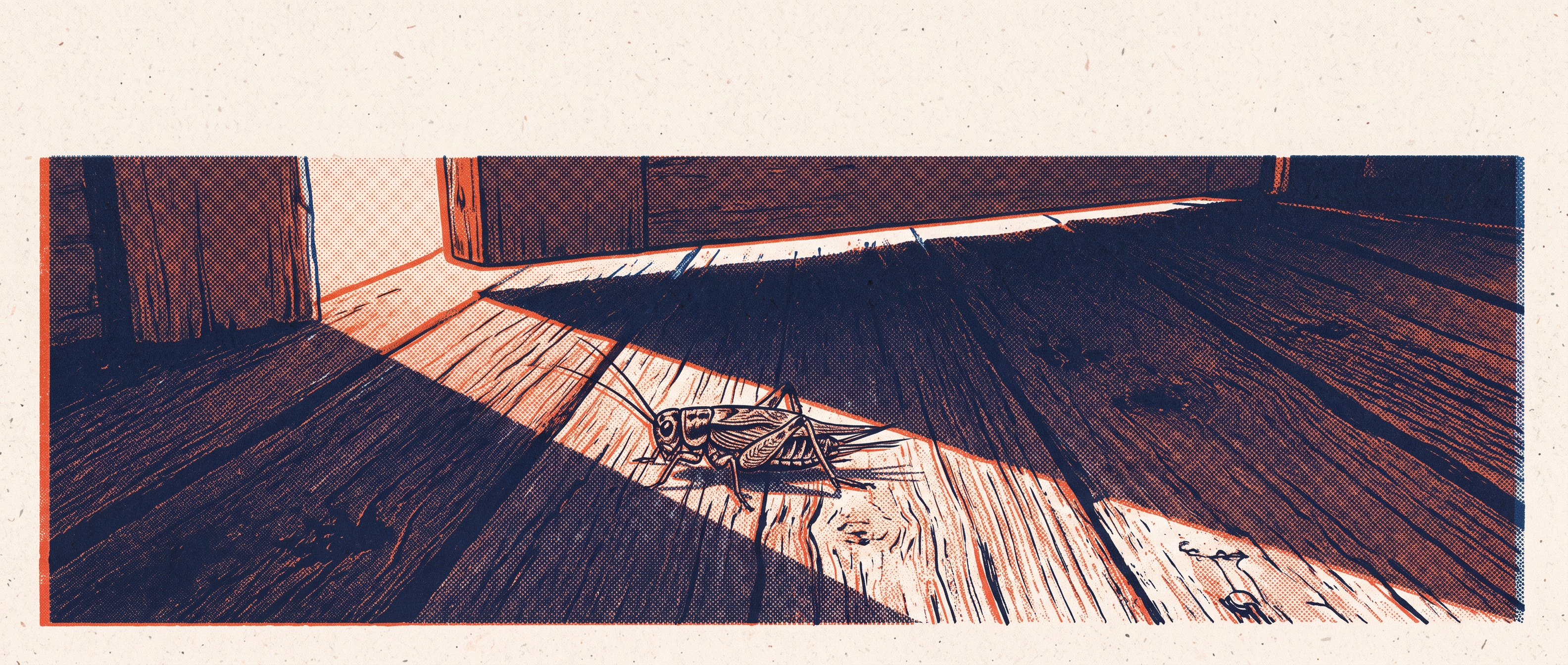 Issue 043 illustration 1