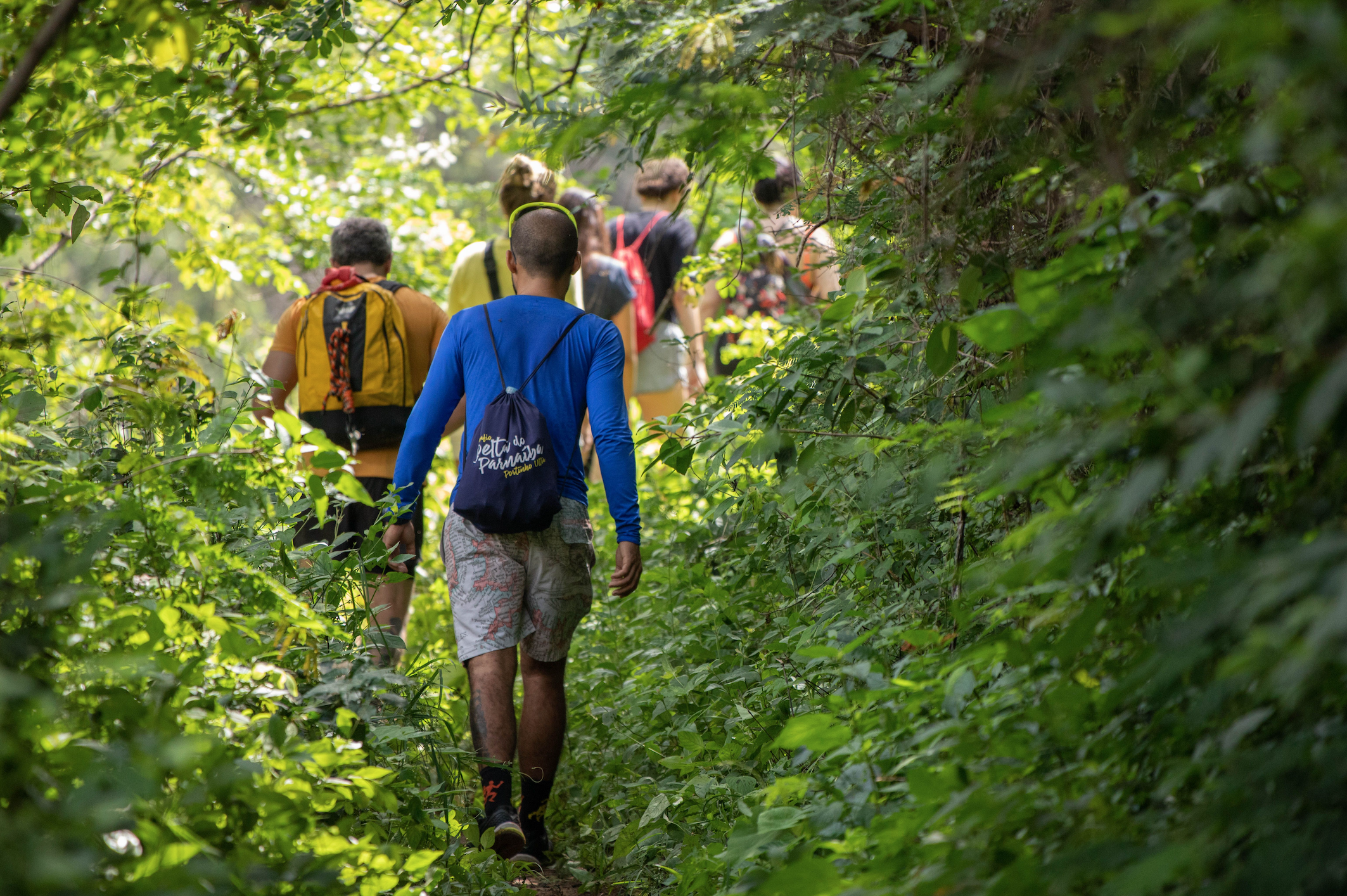 10-Mile Nature Trek at Davidson-Arabia Mountain