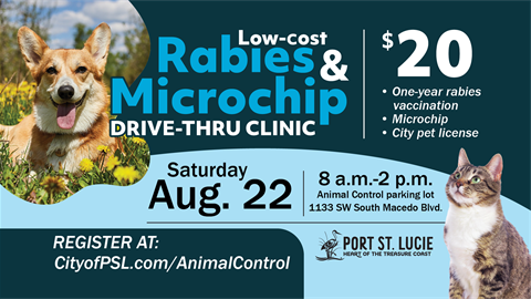Animal Control to host Low‑Cost Rabies & Microchip Drive‑Thru Clinic