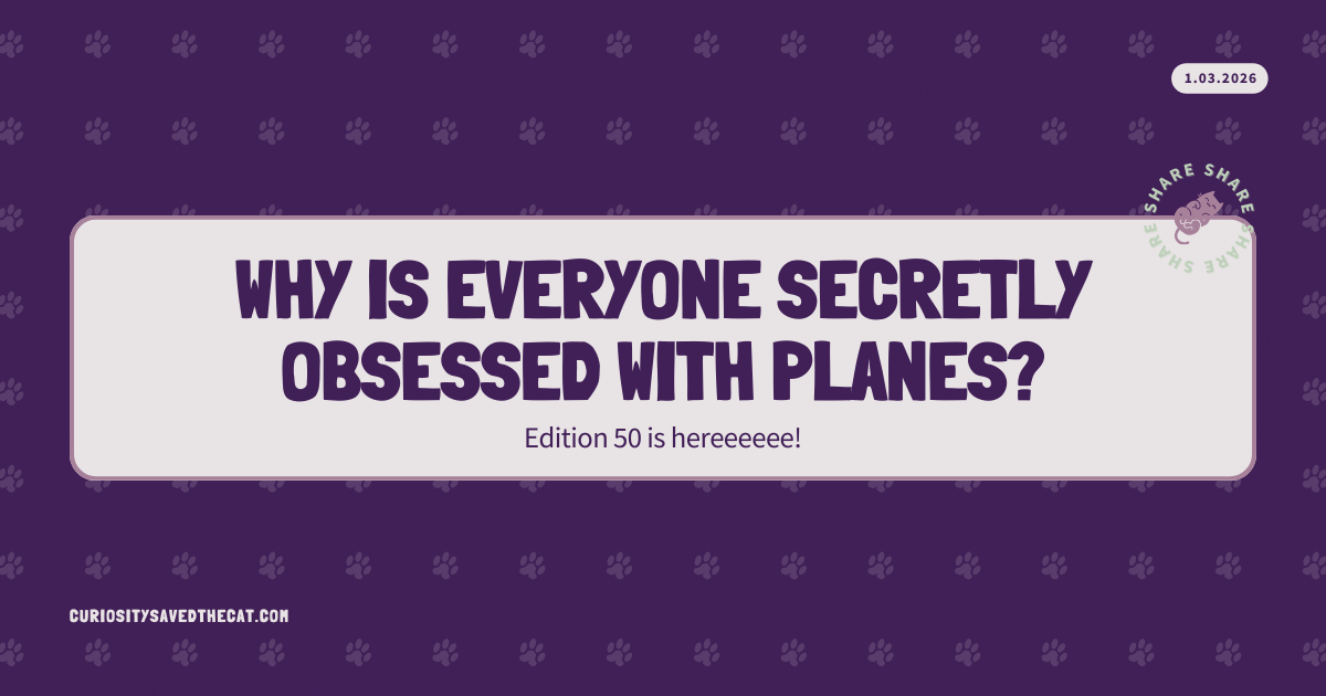 #50: Why is everyone secretly obsessed with planes? | Curiosity Saved ...