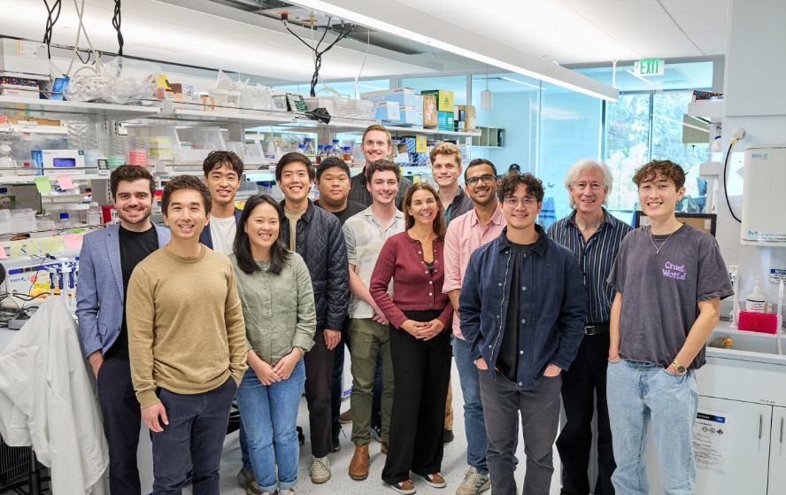 AI meets CRISPR