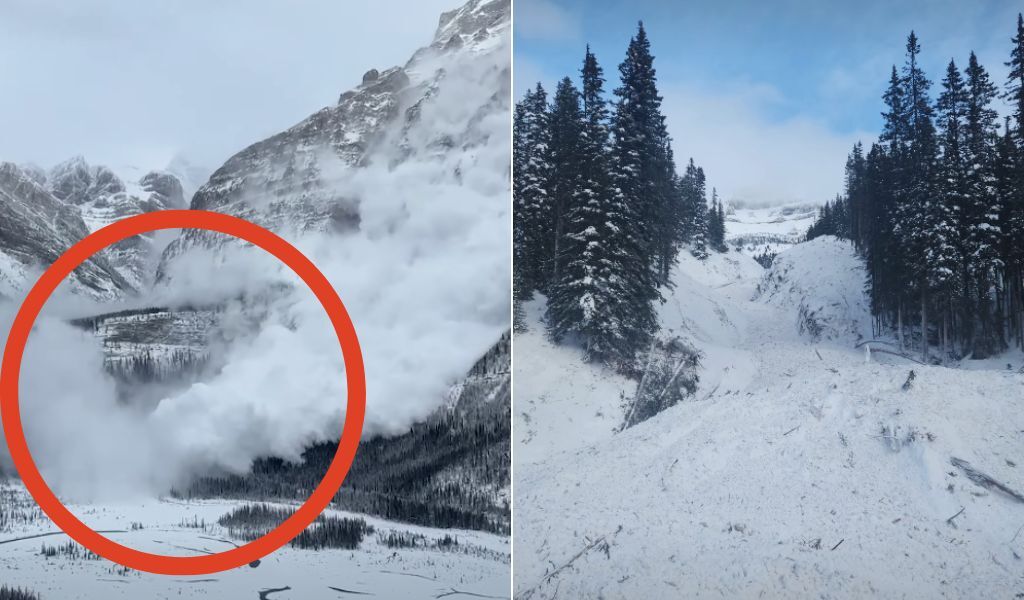 Watch: Avalanches Running to the Valley Floor on Icefields Parkway