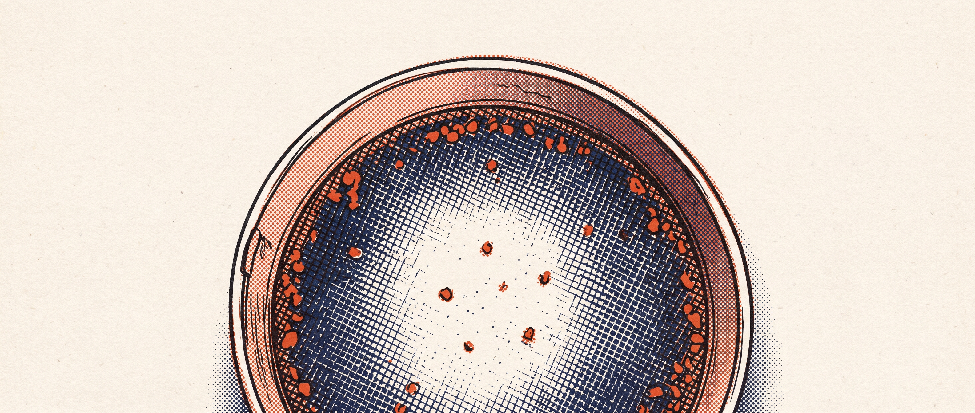 Issue 045 illustration 1