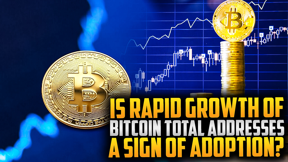 ⚡Bitcoin Adoption: Examining Address Growth