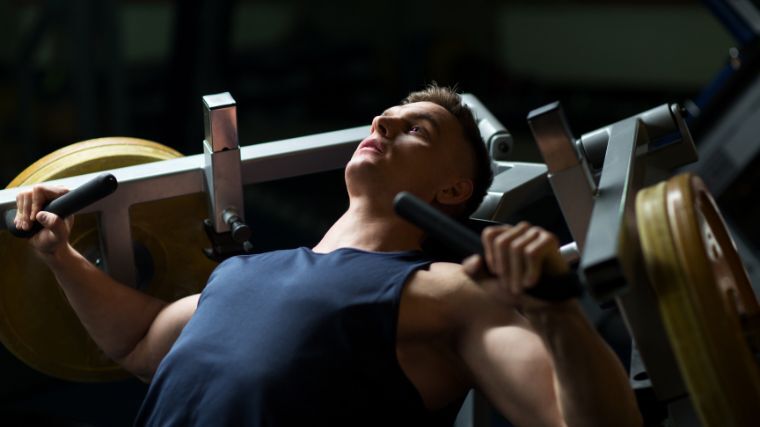 🏋️‍♀️ 9 high-protein, low-carb foods for lean muscle