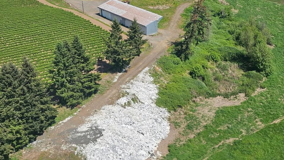 Hydrovac News newsletter image