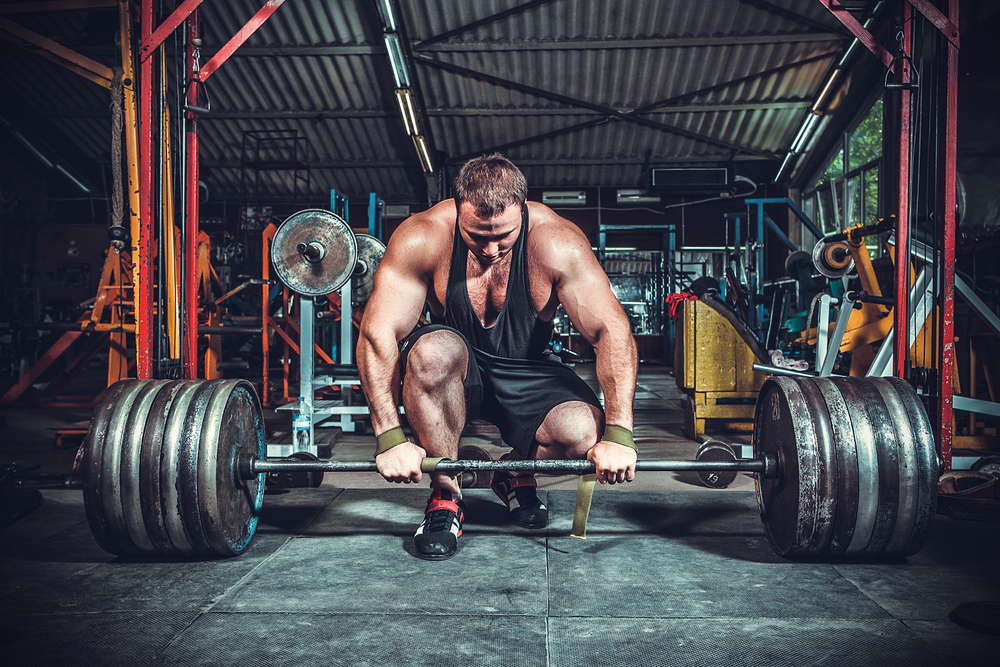 💪 Jeff Nippard's Tips for Maximizing Gains