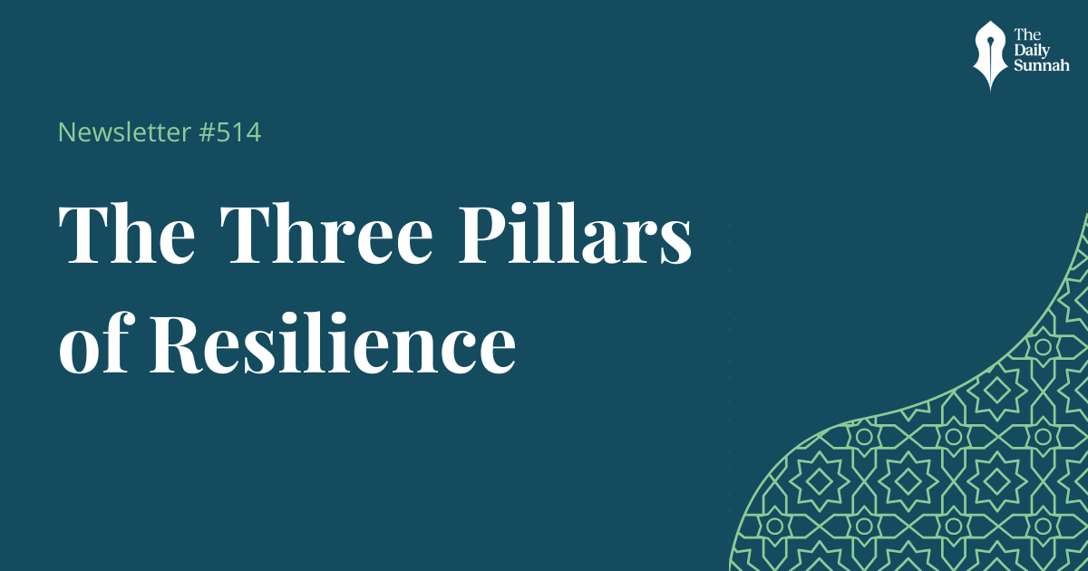 The Three Pillars of Resilience
