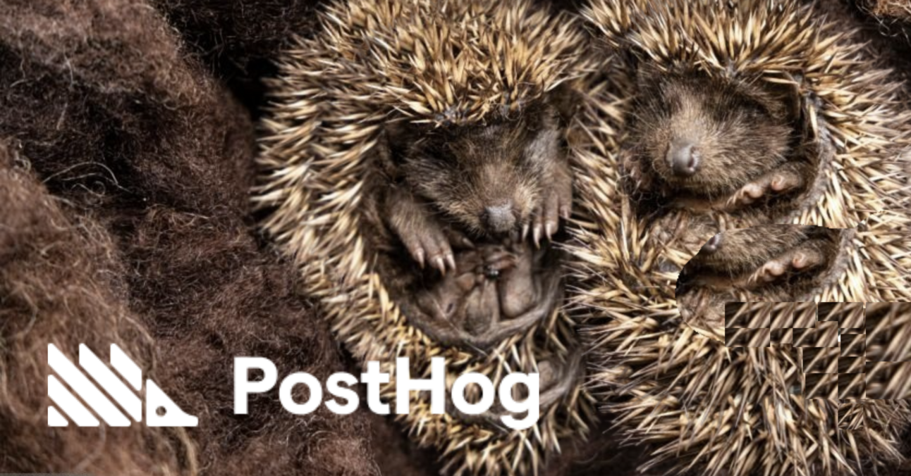 Gone Hog Wild: PostHog's Zero To One