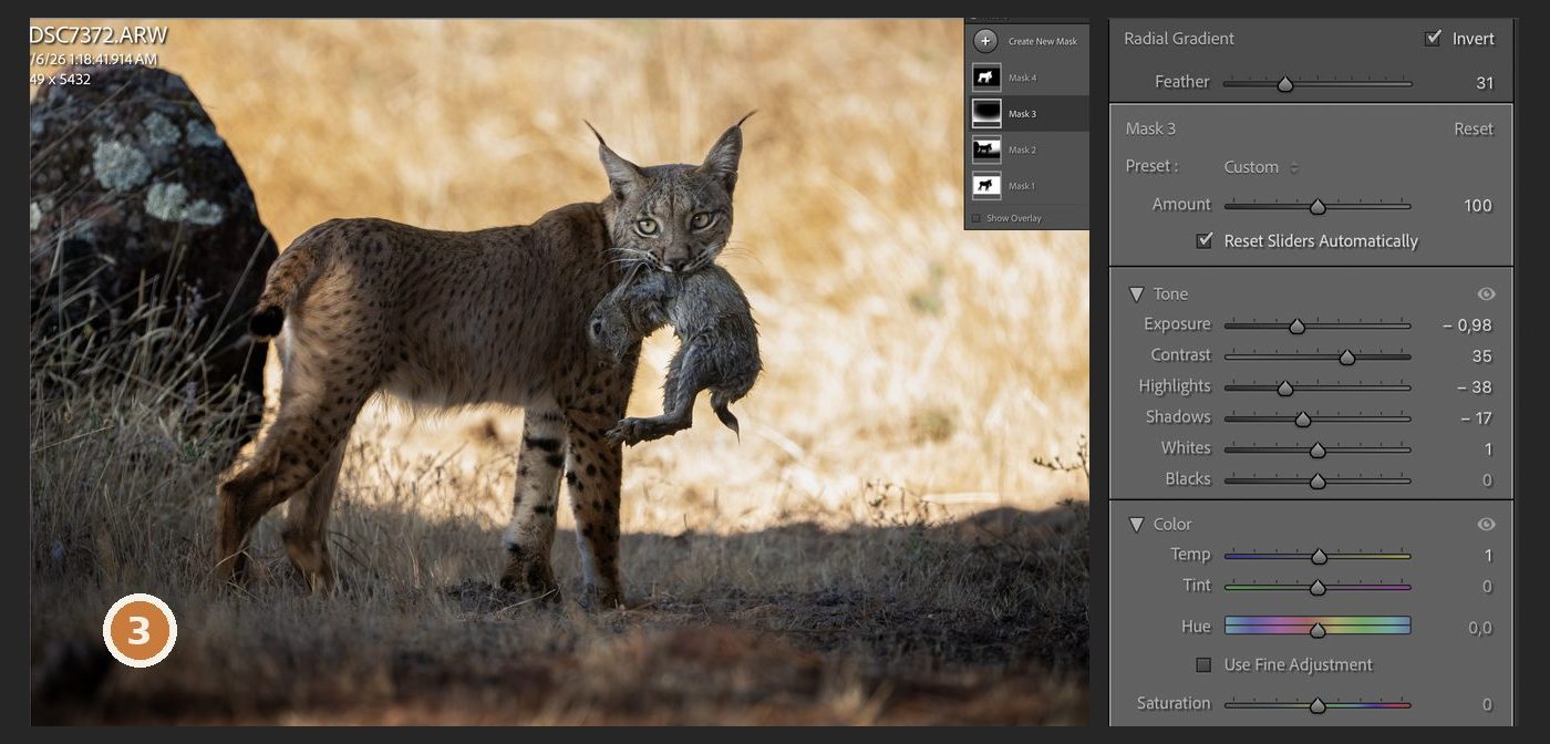 Lightroom with the inverted radial gradient and its slider values