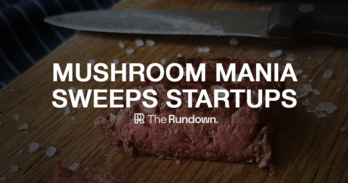⚡️ Mushrooms- the future of sustainable tech