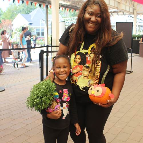 Hicks Nurseries Fall Festival: event artwork or organizer photo