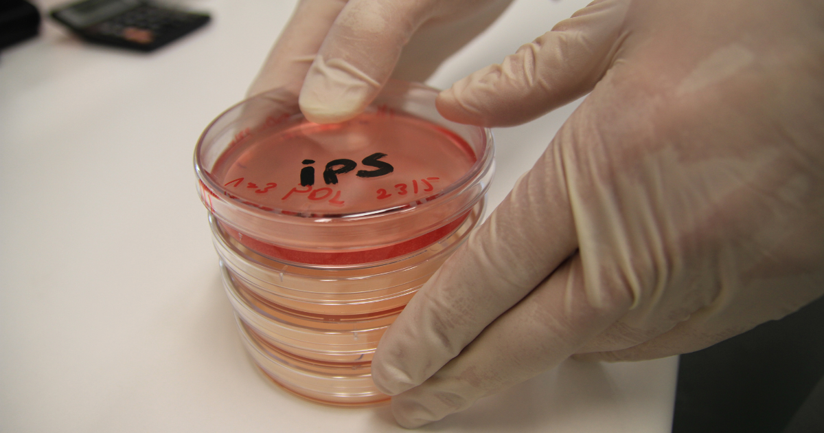 🤖 OpenAI’s New Job Listings Reveal Robotics Roadmap