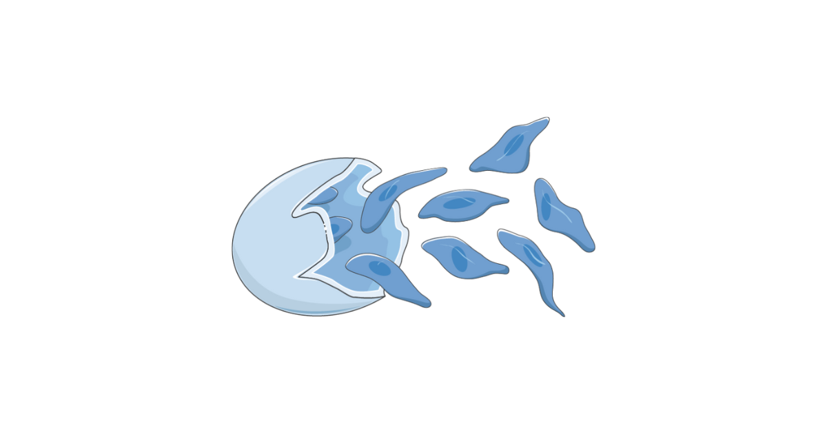 28 Pyrexia Jaundice And AKI 28-pyrexia-jaundice-and-aki