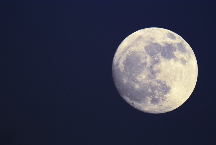 ⚓ Full Moons, Oakville Baseball Star, and Events for Your Week