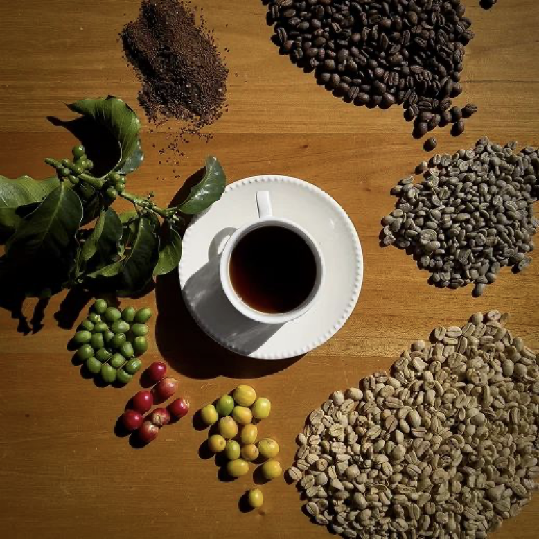 Coffee from cherry to cup