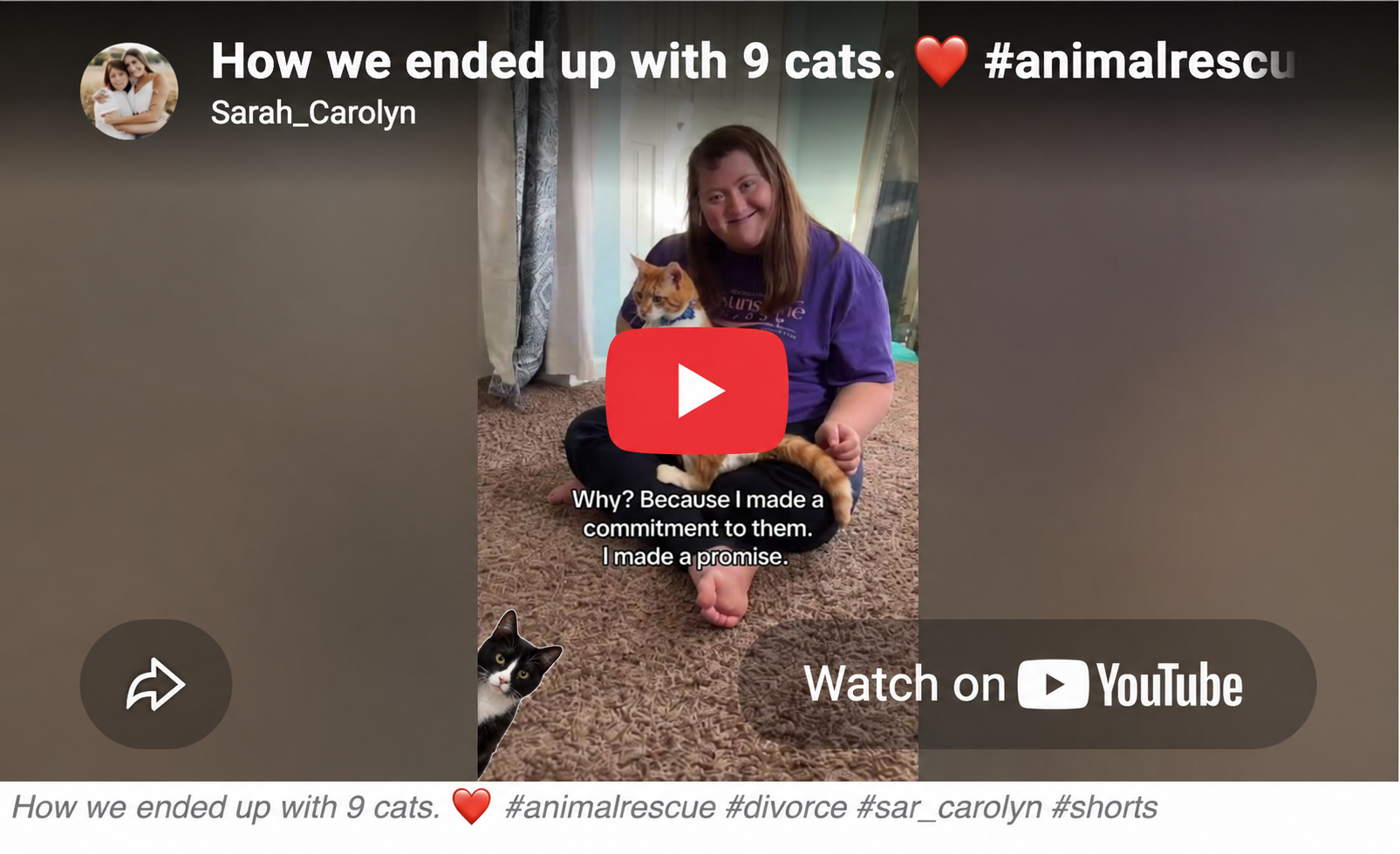 A former nurse who spent $17,000 turning her basement into a sanctuary for disabled cats