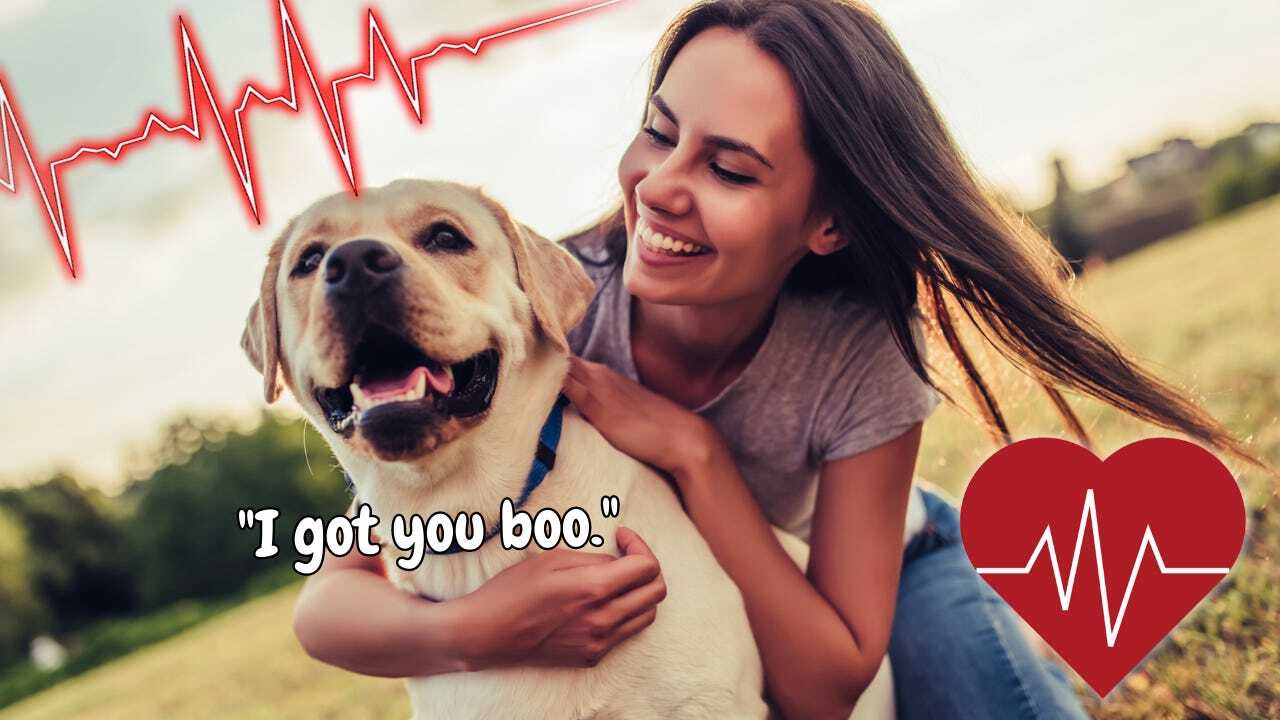 🧬 Scientists Prove Dog Owners Live Longer