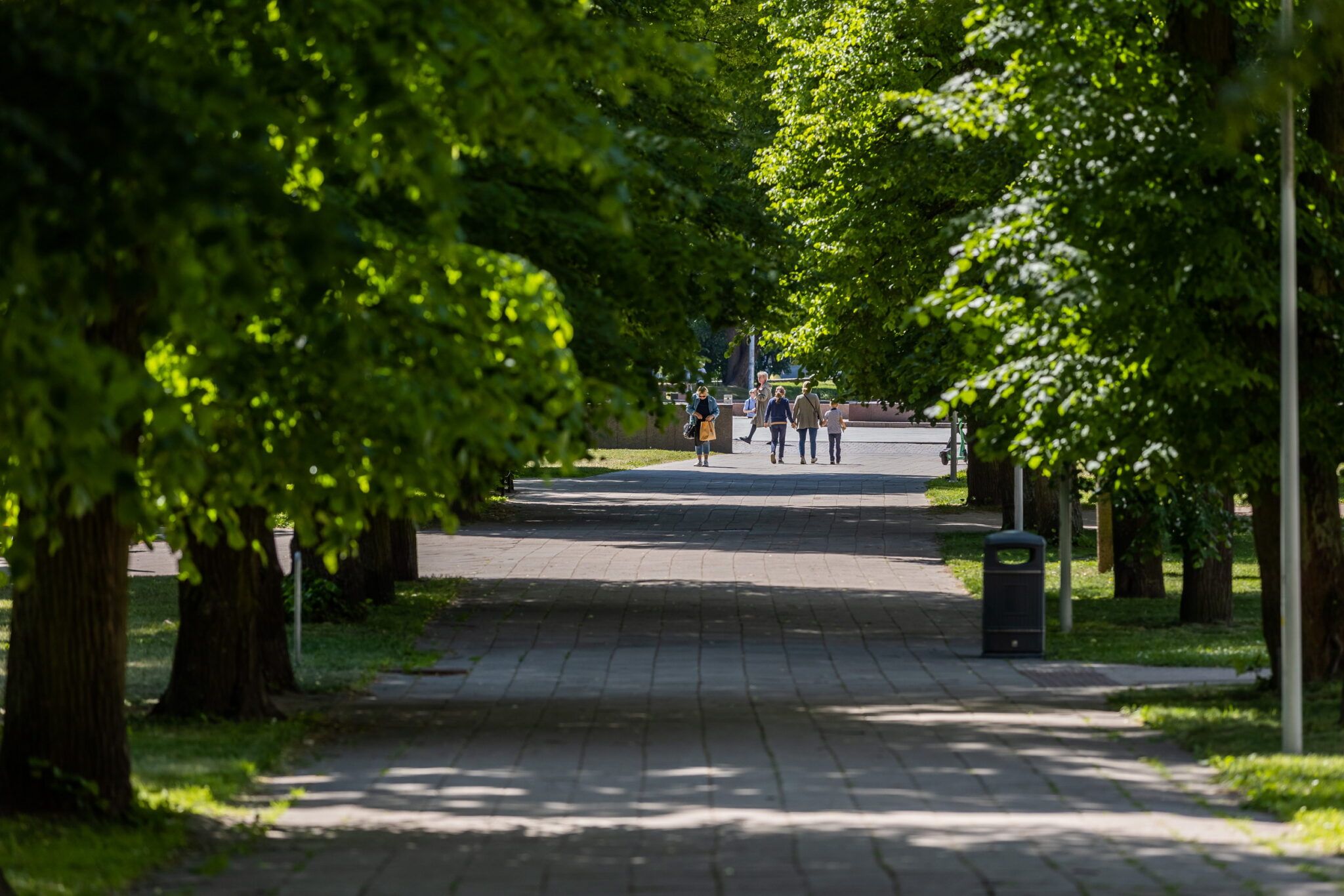 Bernardinų sodo takų atnaujinimo darbai