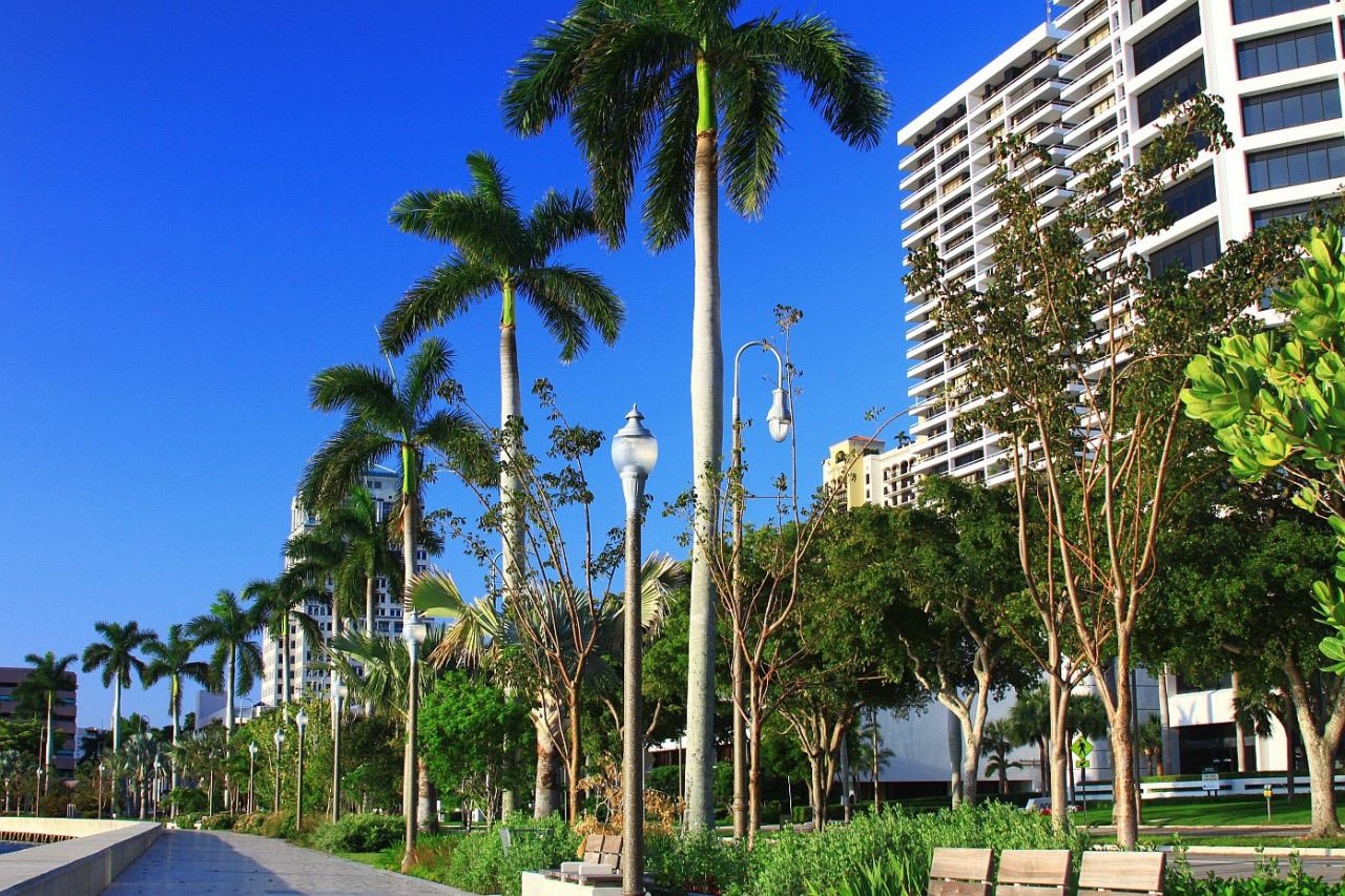 Palm Beach Cultural Arts Scene